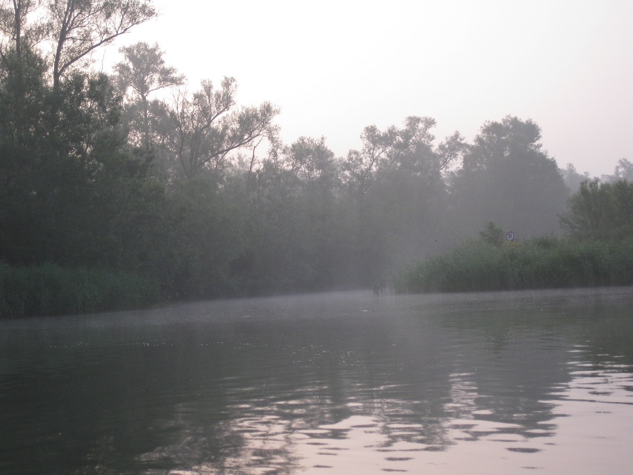 biesbosch foto