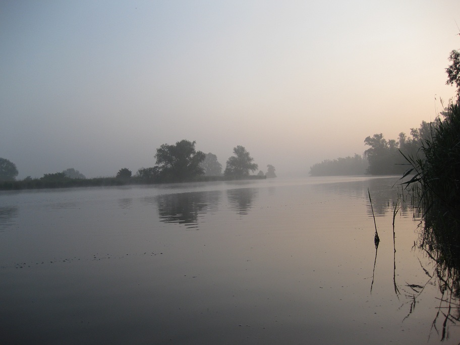 biesbosch foto