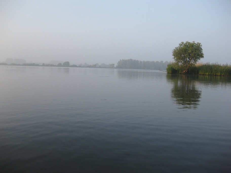 biesbosch foto