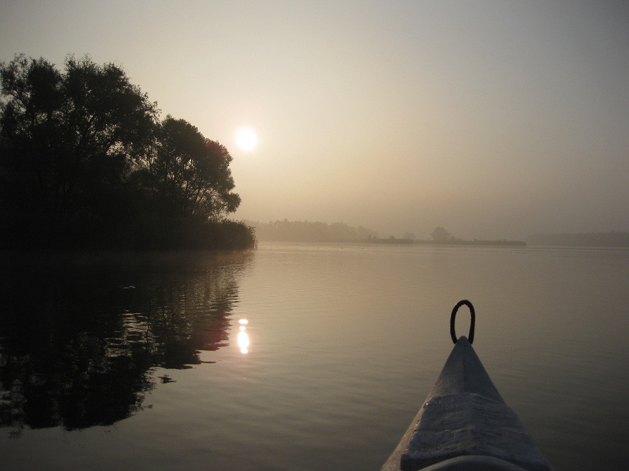 biesbosch foto