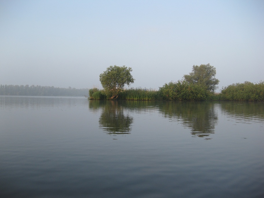 biesbosch foto