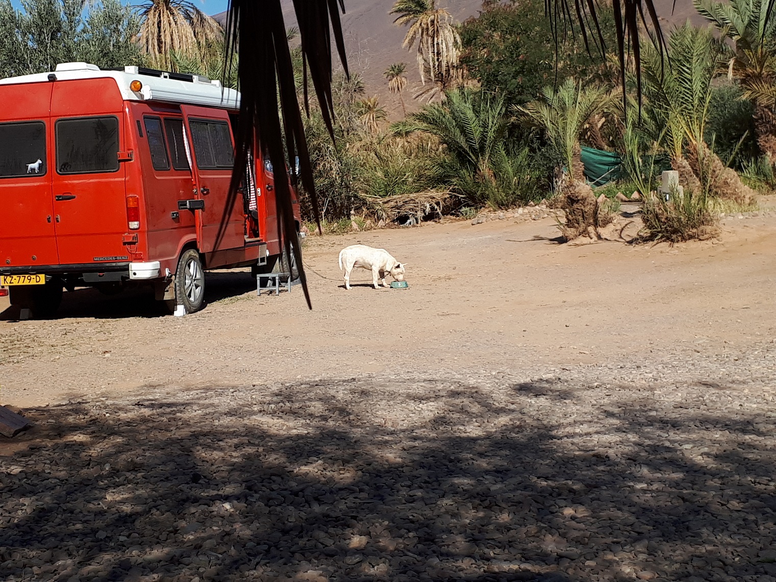 Camper